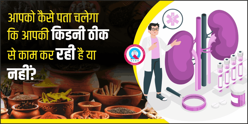 कैसे-पता-चलेगा-कि-किडनी-ठीक-से-काम-कर-रही-है-या-नहीं